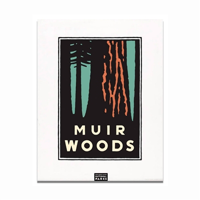 Unframed Poster - Muir Woods