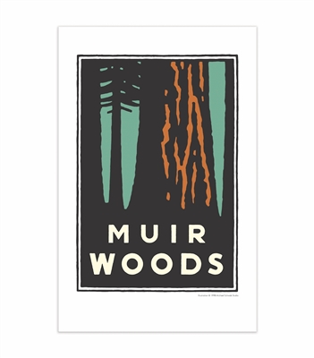 11x17 Print- Muir Woods