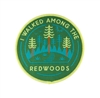 Adventure Badge - I Walked Among the Redwoods