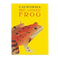 Magnet - California Red-legged Frog