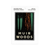 Decal - Muir Woods