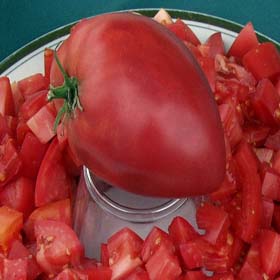 Airyleaf heirloom tomato seeds