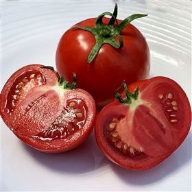 Atkinson Tomato