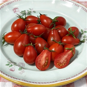 Austin's Red Pear-Tomato Seeds