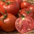 Backa - Organic Heirloom Tomato Seeds