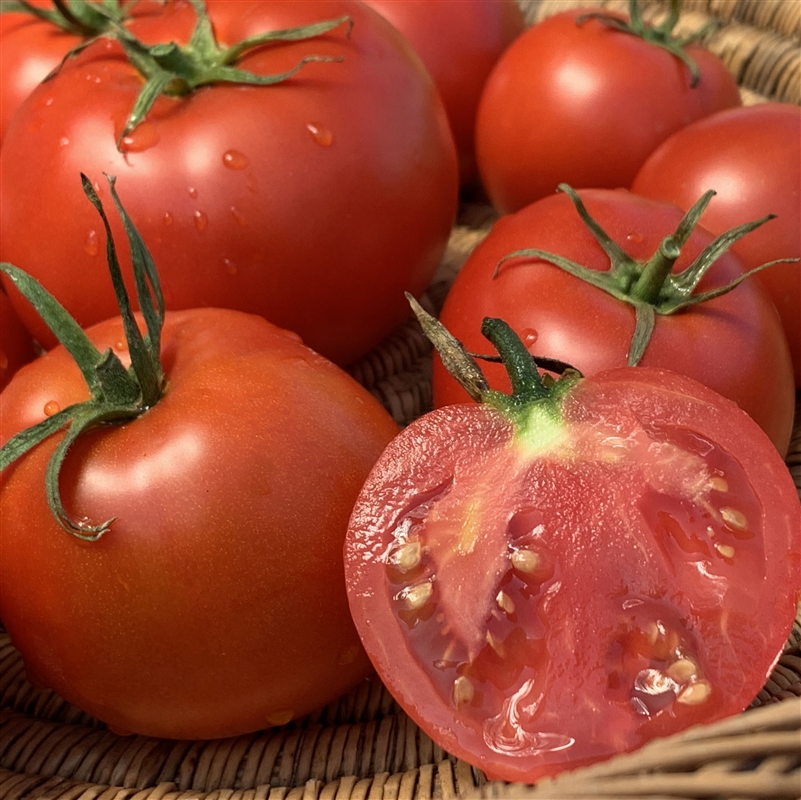 Chef's Choice Tomato Seeds  Tomato Growers Supply Company