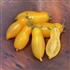Banana Legs - Organic Heirloom Tomato Seeds