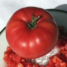 Beauty Heirloom Tomato Seeds