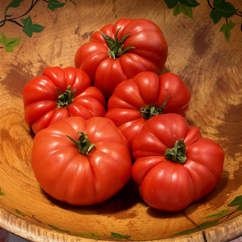 Beefsteak Heirloom Tomato Seeds