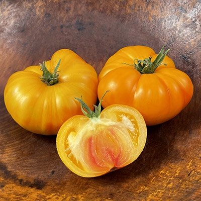 Big Rainbow Heirloom Tomato