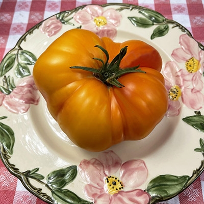 Organic Rainbow Slicer Tomato Collection