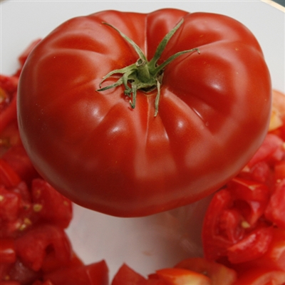 Big Beef Tomato