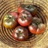 Black - Organic Heirloom Tomato Seeds