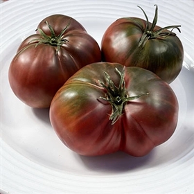 Black Sea Man-Heirloom Tomato