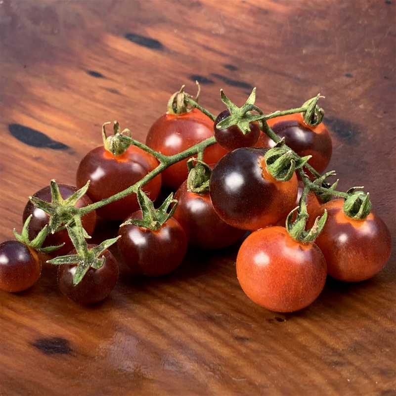 Blue Berries - Organic Tomato Seeds
