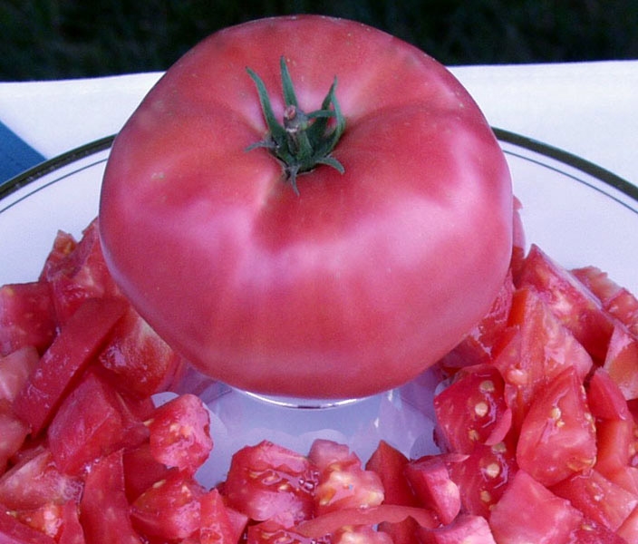 Brandywine Heirloom Tomato Seeds-TomatoFest Organic