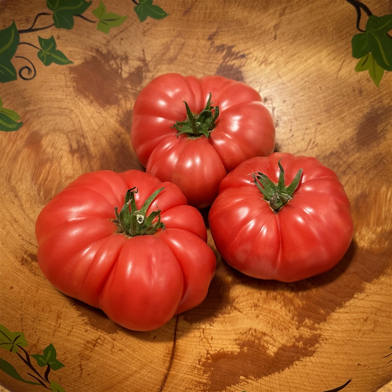 Sudduth Strain Brandywine Tomato