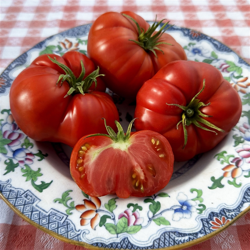 Brandywine, OTV - Organic Heirloom Tomato Seeds