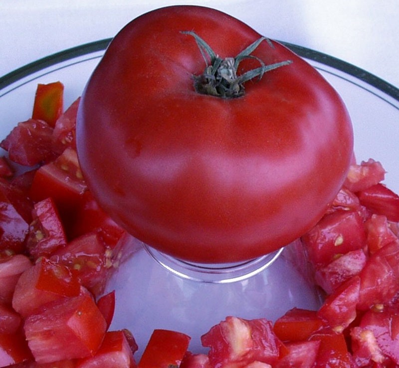 Brandywine, Red (Landis Valley) Heirloom Tomato-Organic