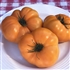 Brandywine, Yellow (Platfoot Strain) - Organic Heirloom Tomato Seeds