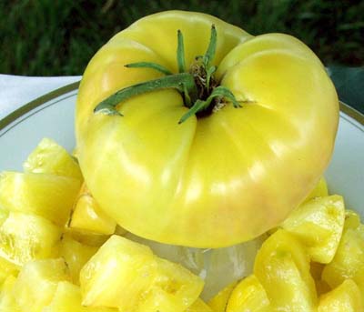 Candy's Old Yellow - Heirloom Tomato Seeds