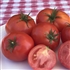 Carmello - Organic Heirloom Tomato Seeds