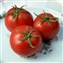 Dona - Organic Tomato Seeds