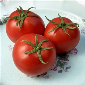 Dona Tomato