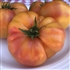 Dwarf Caitydid - Organic Tomato Seeds