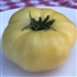 Dwarf Mr. Snow - Organic Tomato Seeds