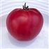 Dwarf Pink Passion - Organic Tomato Seeds