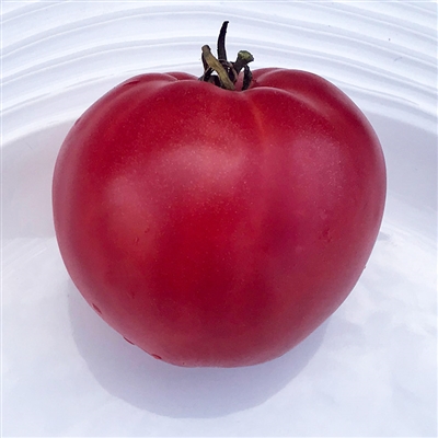 Dwarf Pink Passion - Tomato