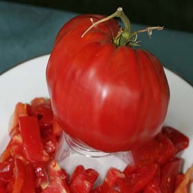 Brandywine (Sudduth's Strain) Tomato