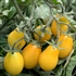 Fargo - Organic Heirloom Tomato Seeds