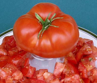 Favorite Tomato