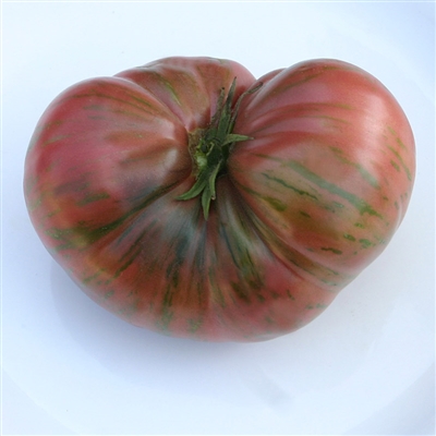 Fred's Tie Dye - Tomato