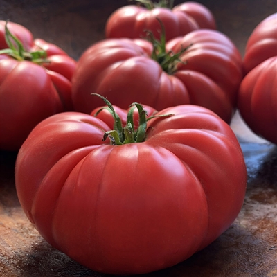 Gary's Beauty - Organic Tomato Seeds