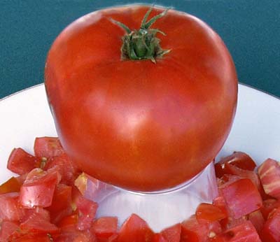 Gigantesque Heirloom Tomato