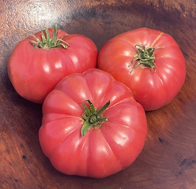 Russian Rose Beefsteak Tomato – Eagleridge Seeds