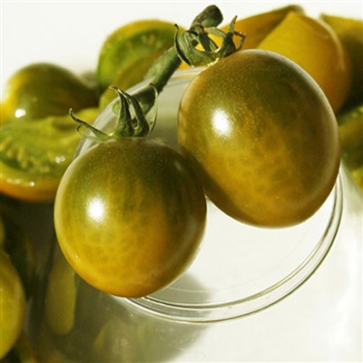 Green Grape - Tomato