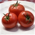 Healani - Organic Tomato Seeds