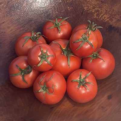 Heinz 1350 Organic Tomato Seeds -TomatoFest