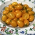 Ildi - Organic Heirloom Tomato Seeds