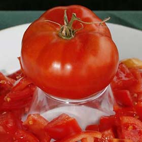 Illini Star Tomato