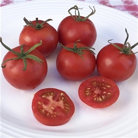 Manx Marvel Tomato