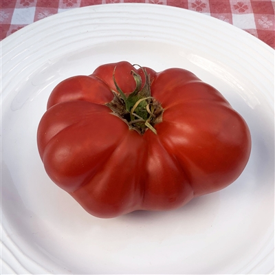 Neves Azorean Red Tomato
