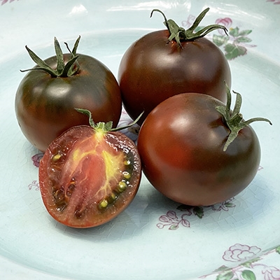 Nyagous Tomato