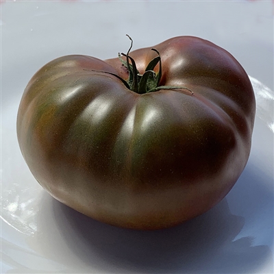 Paul Robeson Heirloom Tomato