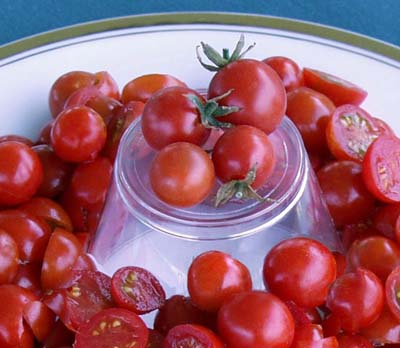 Peacevine Cherry Tomato
