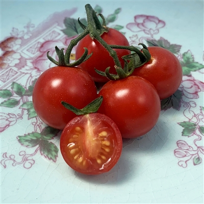 Piccolo Tomato